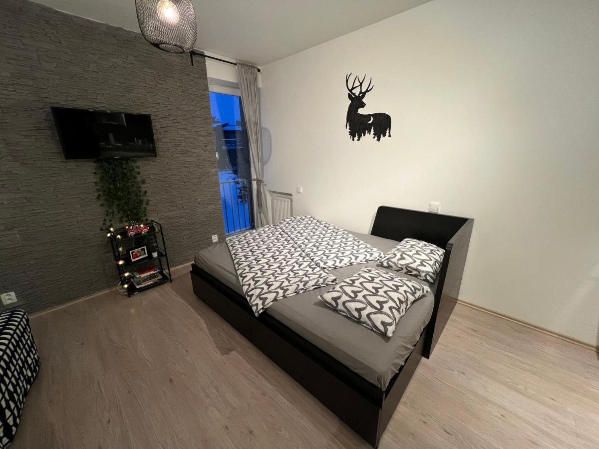 Nelis Apartmán Klínovec Loucná pod Klínovcem Exterior foto