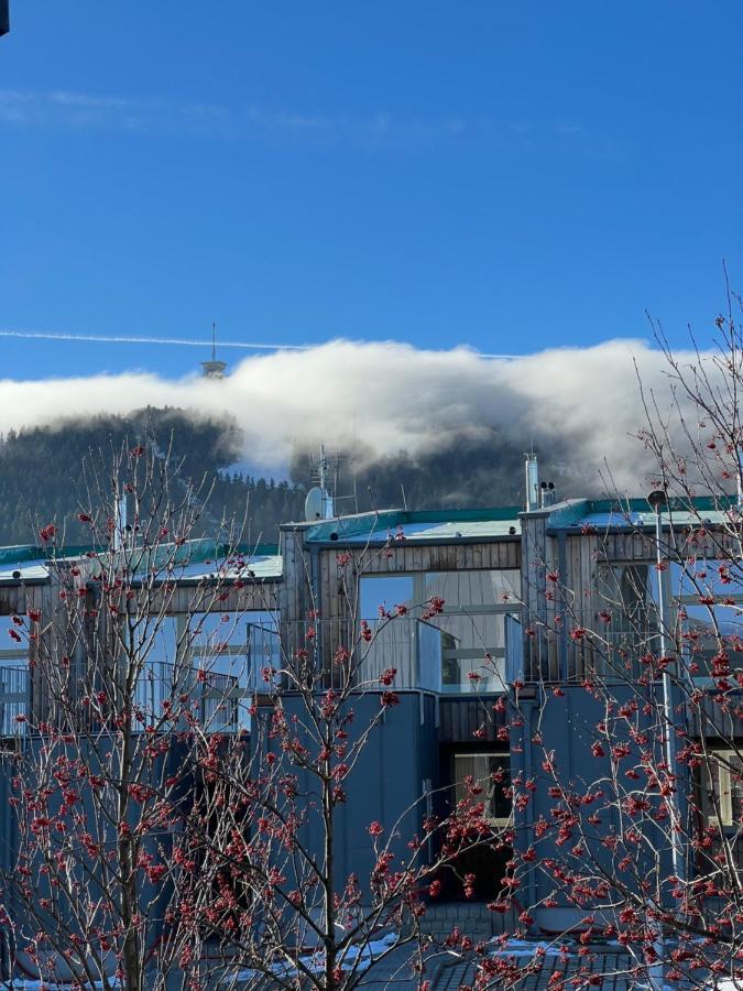 Nelis Apartmán Klínovec Loucná pod Klínovcem Exterior foto